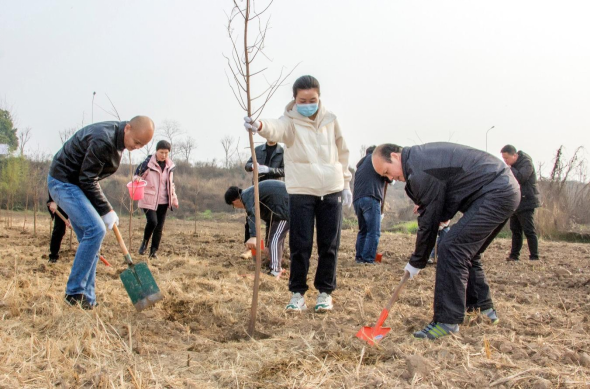 新春新绿新气象  洪湖市局植树添绿践行“两山”理论